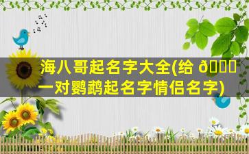 海八哥起名字大全(给 🐞 一对鹦鹉起名字情侣名字)